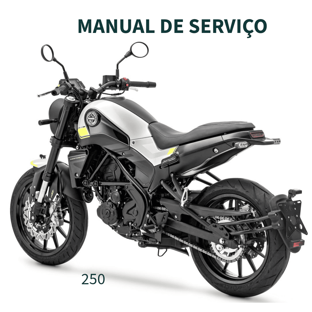 MANUAL DE SERVIÇO MOTO 250 LEONCINO BENELLI