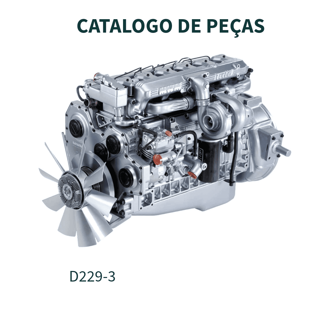 CATALOGO DE PEÇAS MOTOR D229-3 MWM INTERNATIONAL